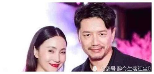 娱乐圈明星吃瓜合集